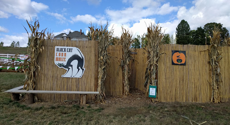 Roloff Corn Maze