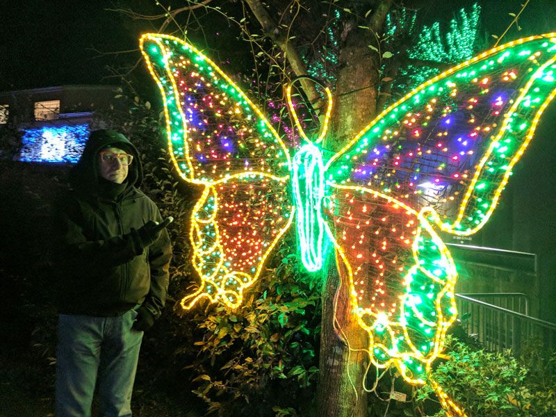 Light-up Yellow Butterfly